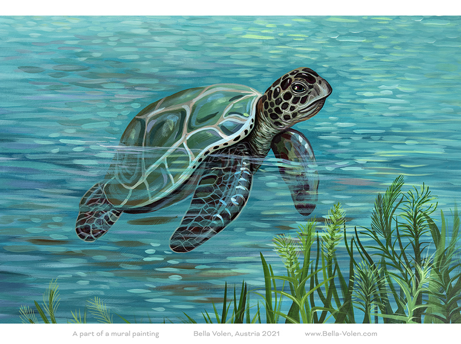 wandmalerei in oesterreich schildkroete  wandmalerei