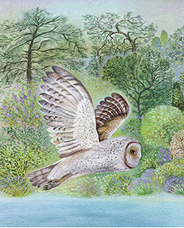 Wandmalerei in Wien mit weißer Eule